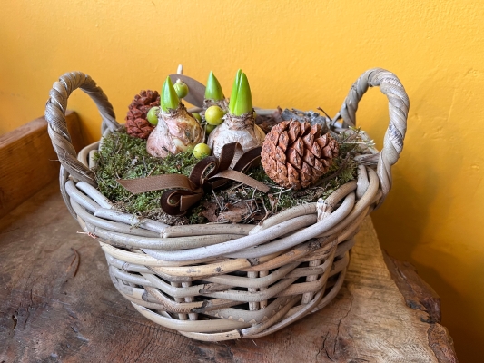 Rustic wicker hyacinth planter