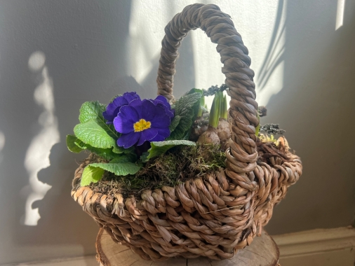 Planted Basket